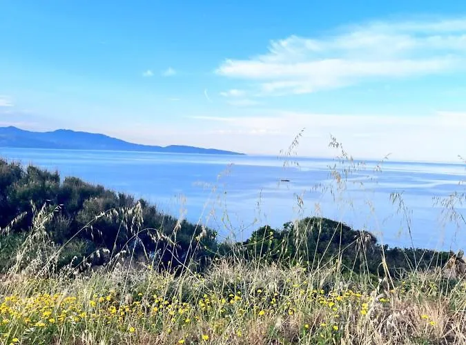 Casa Monica - Roseroom - D Homestay