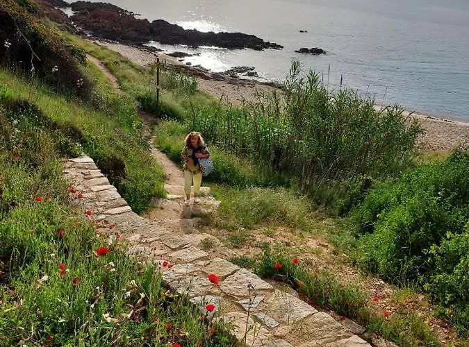 Homestay Casa Monica - Roseroom - D *