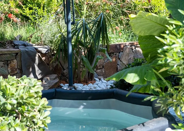 Casa Monica - Roseroom - D Homestay *