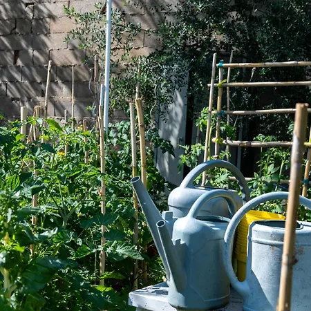 Casa Monica - Roseroom - D Cargèse
