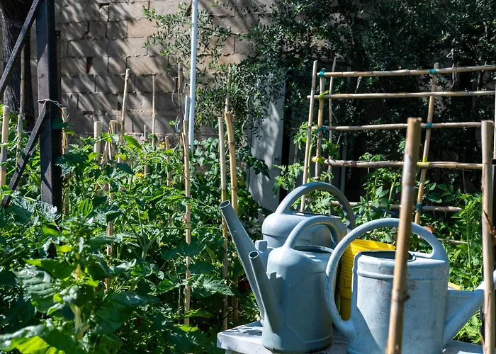 Casa Monica - Roseroom - D Cargèse